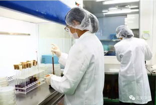 完美構筑嚴謹?shù)漠a品售后質量管理體系在互聯(lián)網銷售中的應用
