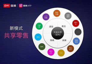 國美App 遲到的互聯(lián)網銷售探索與錯失的市場機遇