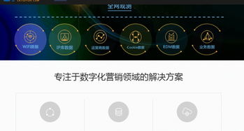 專業(yè)互聯(lián)網營銷服務 定制方案與多樣化產品助力業(yè)務增長